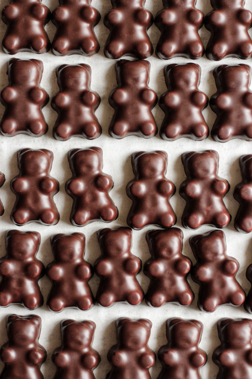 Ourson guimauve chocolat noir ou lait