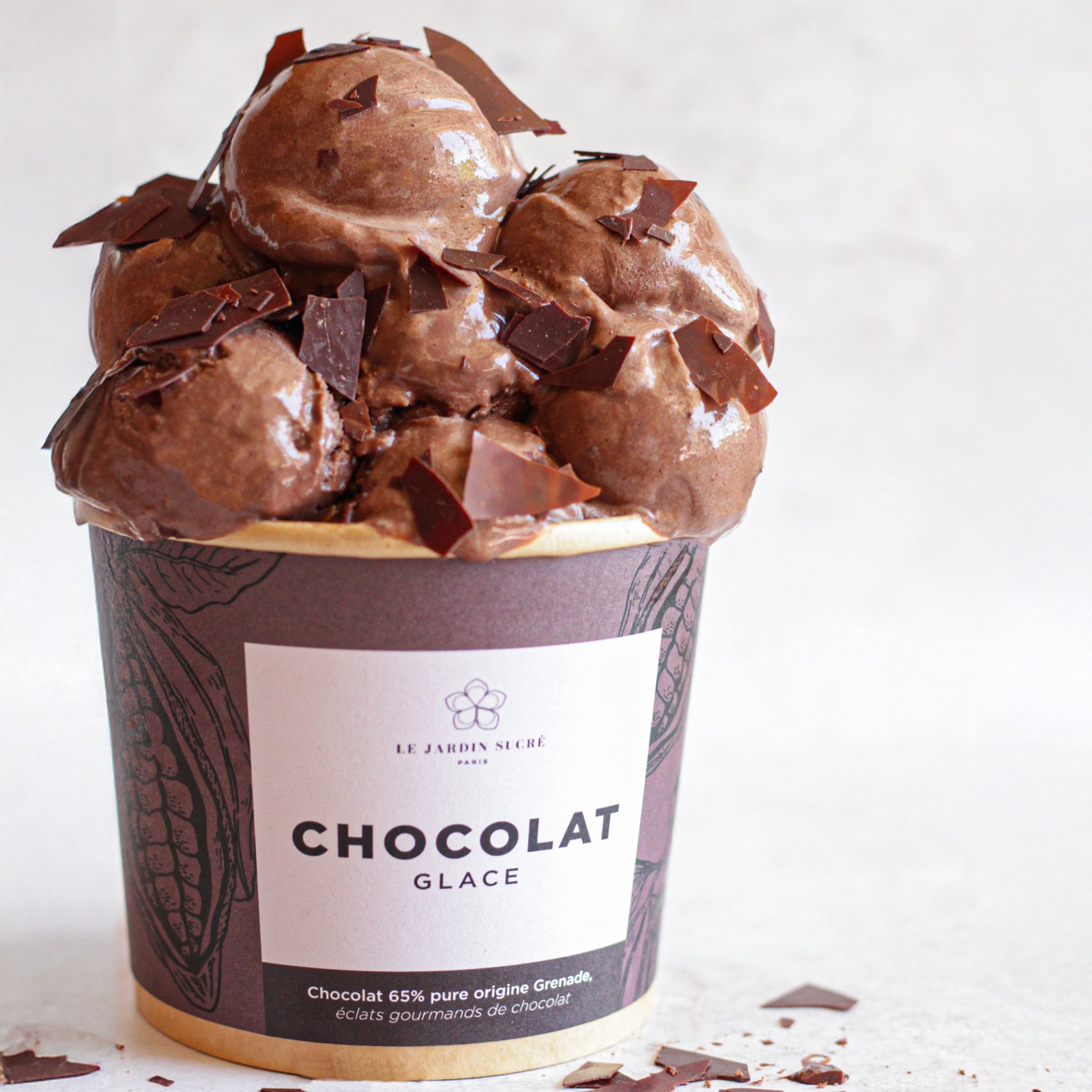 Glace Chocolat & Éclats de Chocolat