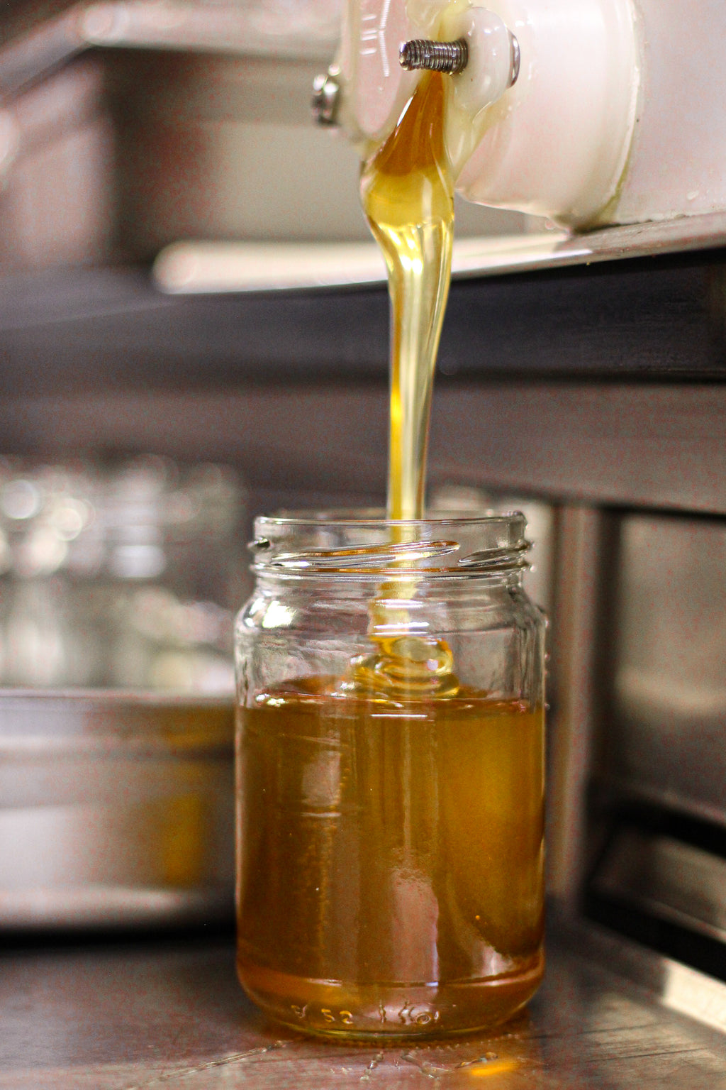 Miel de Tilleul et Fleurs de prairies